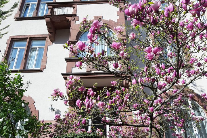 Hotel Robert Mayer in Frankfurt Am Main