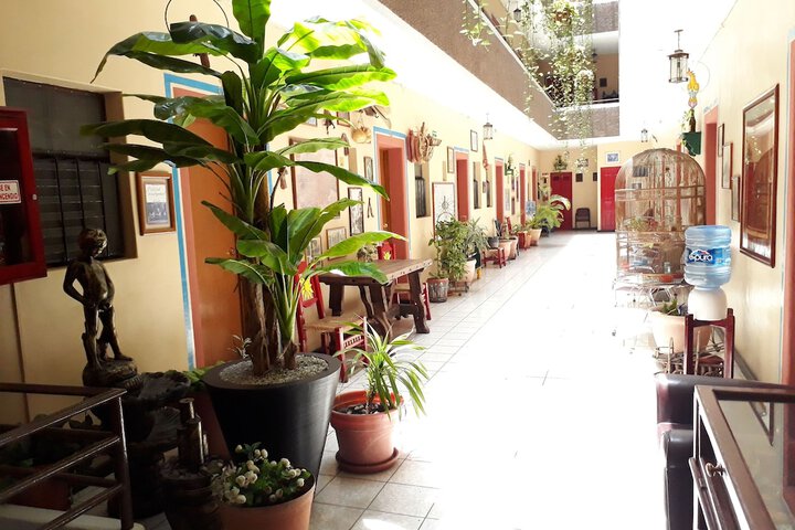 Image of Hotel Janeiro