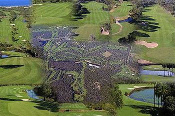 Golf 28 of 46