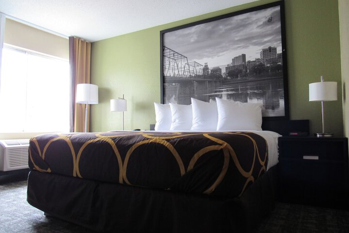 1 King Bed (14 of 20)