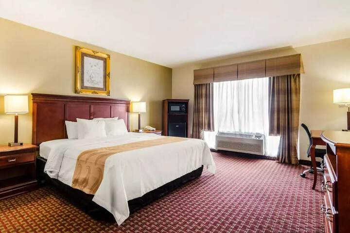 Pet Deluxe Double Room (4 of 11)