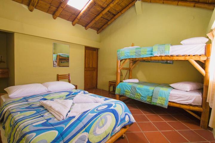 Room 4 of 42