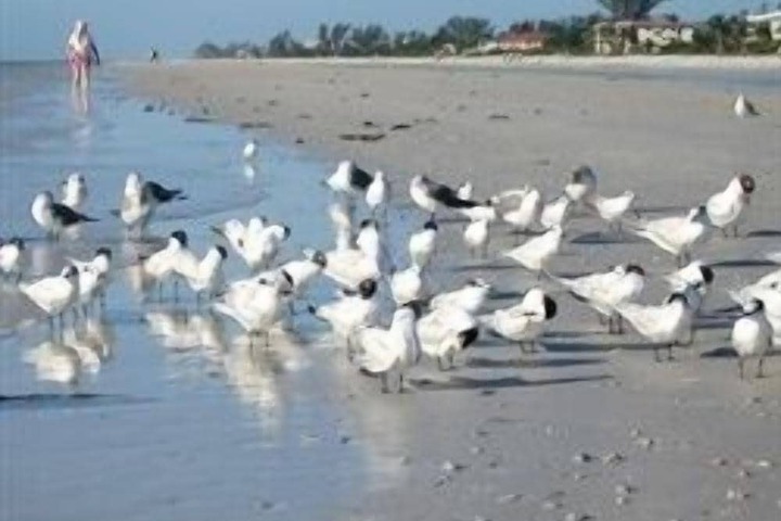 Beach 21 of 28