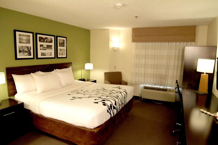 1 King Bed (4 of 4)