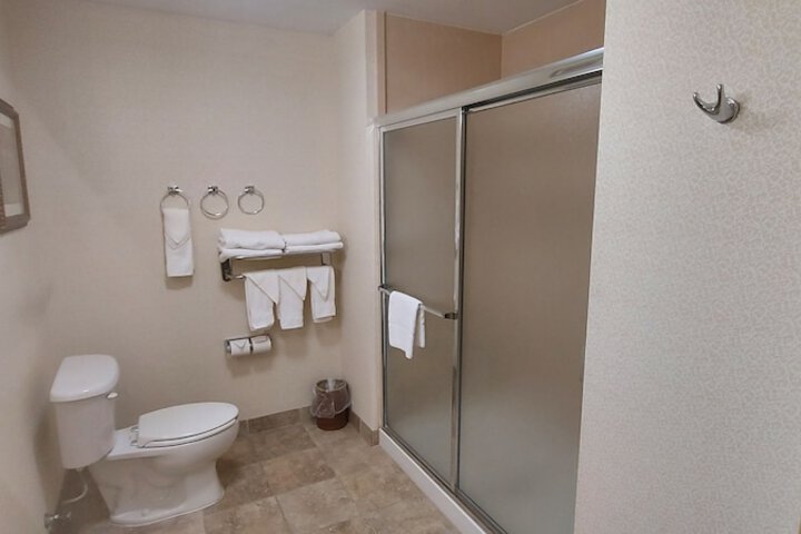 1 King Accessible with Tub (12 of 13)