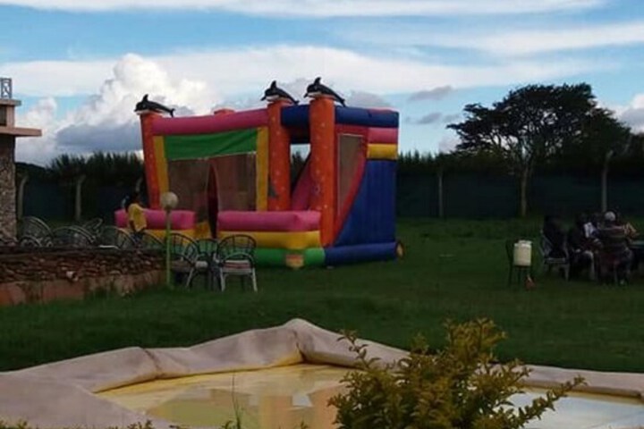 Childrens Activities 12 of 17