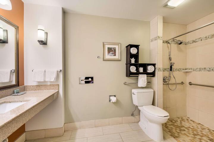 2 Queen Accessible Communication Assistance Roll in Shower Full Breakfast (8 of 13)