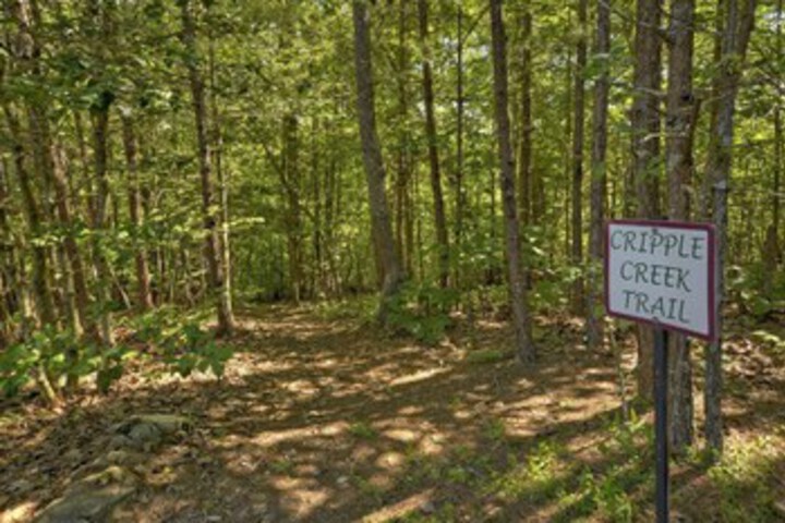 Property Grounds 49 of 56