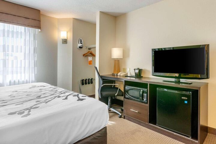 1 King Bed (2 of 12)