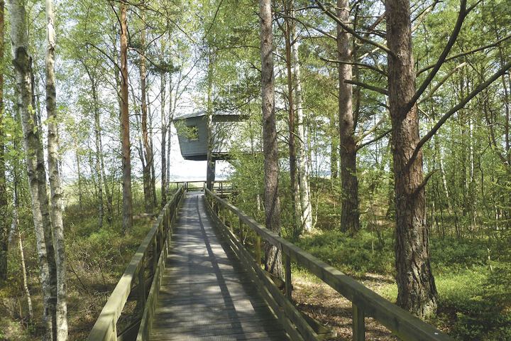 Hiking