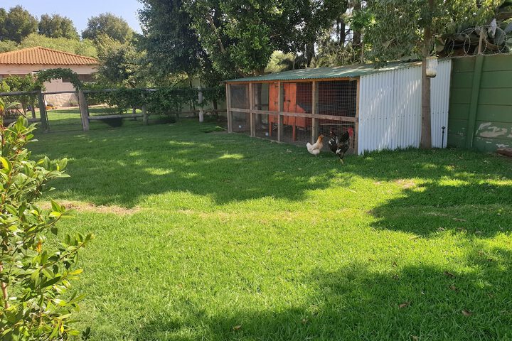 Property Grounds 24 of 36