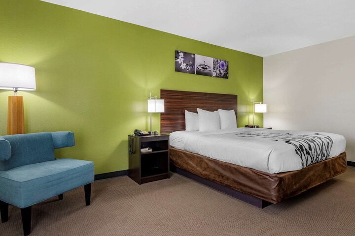1 King Bed (10 of 17)