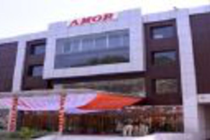 THE AMOR