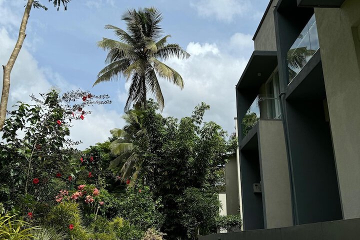 Terrace/Patio 32 of 61