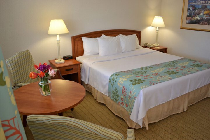 Deluxe Room 1 King Bed (9 of 16)