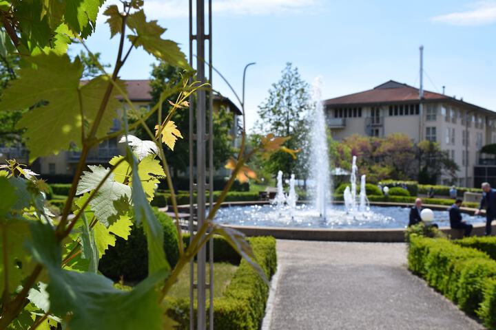 Hotel Exterior 152 of 157