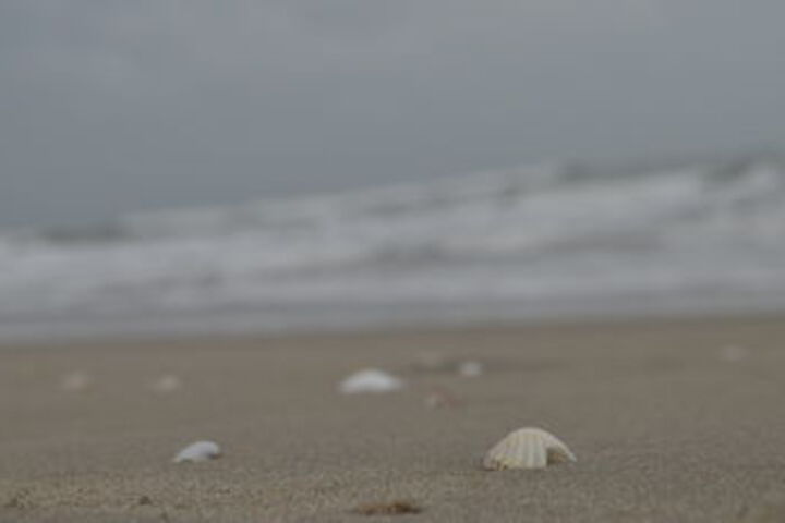 Beach 5 of 49