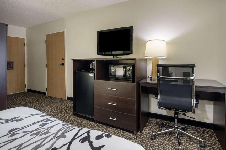 1 Queen Bed Accessible (10 of 12)