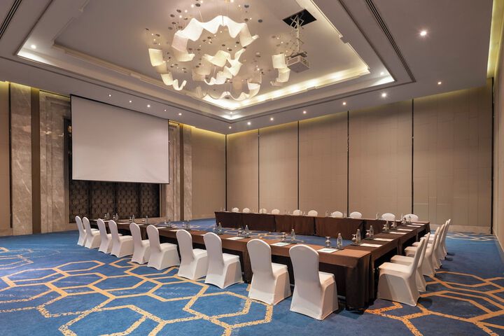 Meeting 246 of 277