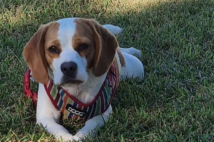 Hotel Interior 2 of 121