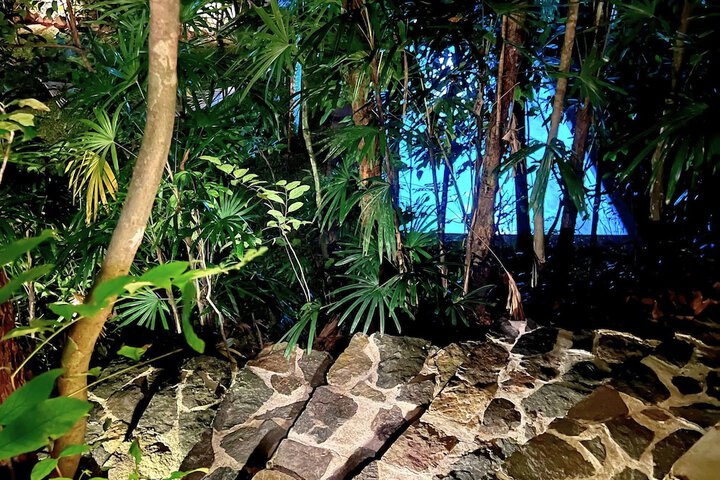 Property Grounds 93 of 128
