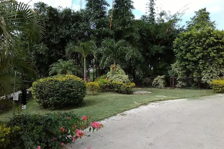 Property Grounds 17 of 23