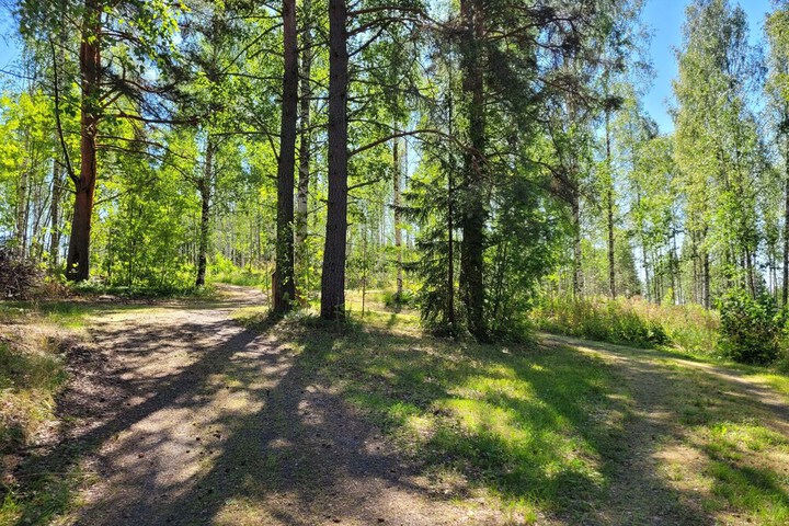 Property Grounds 48 of 69