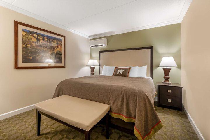 1 King Bed (1 of 19)