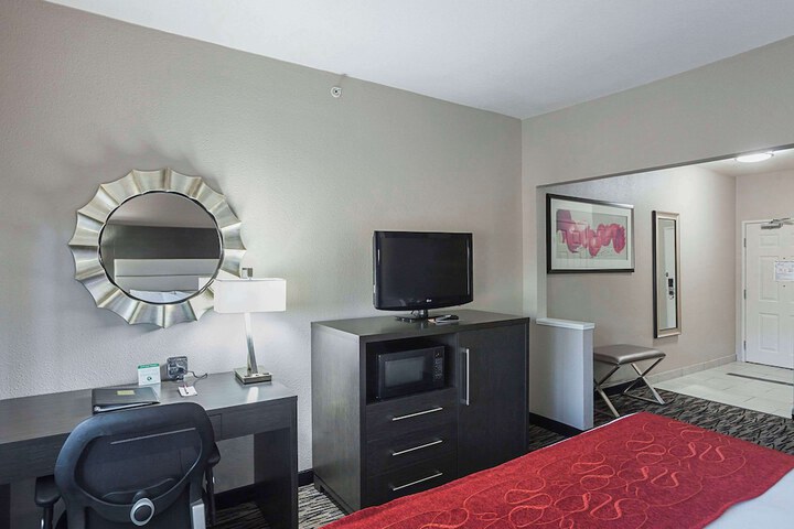 1 King Bed Suite (12 of 21)