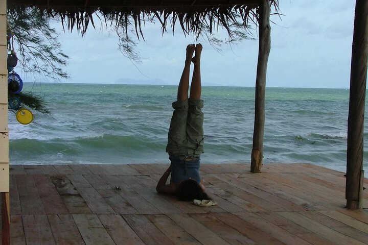 Gym & Fitness
