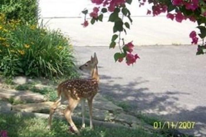 Property Grounds 22 of 25