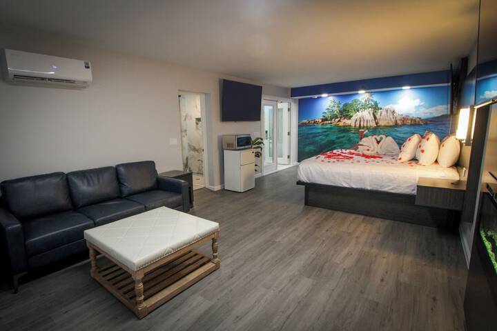1 King Bed Pet Friendly Accessible (78 of 90)