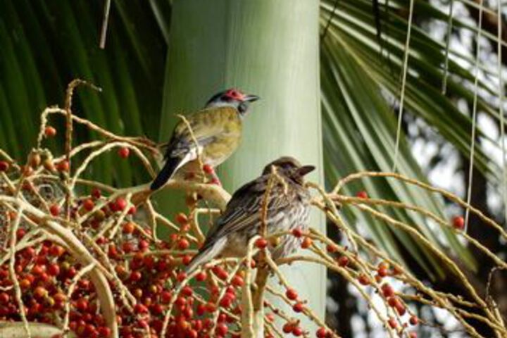 Property Grounds 52 of 63