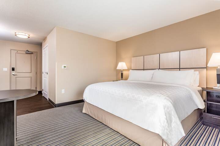 Studio Suite Queen Bed (1 of 17)