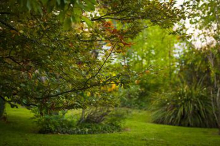 Property Grounds 113 of 118