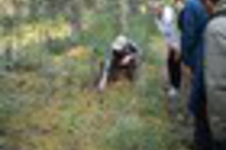 Outdoor Activities 155 of 279