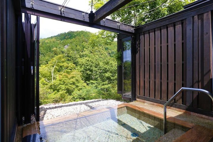 Wellness Treatments
