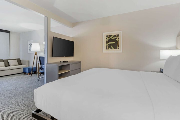 1 King Bed Accessible (19 of 20)