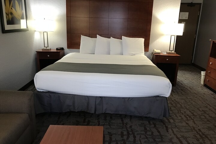 Deluxe Suite King Bed (2 of 30)