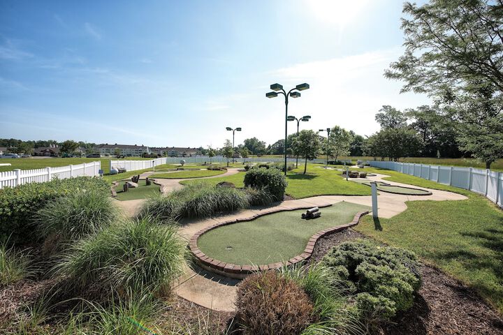 Mini-golf