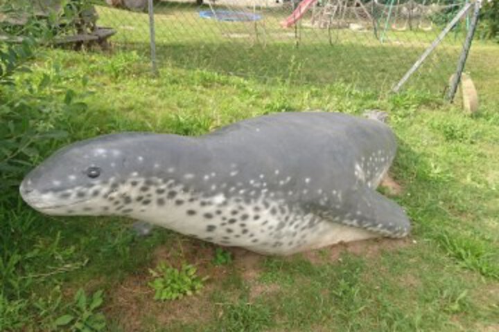 Childrens Activities 38 of 53