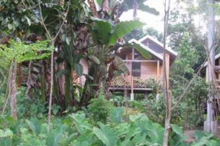 Harolds Ecolodge