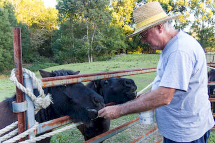 Childrens Activities 3 of 30