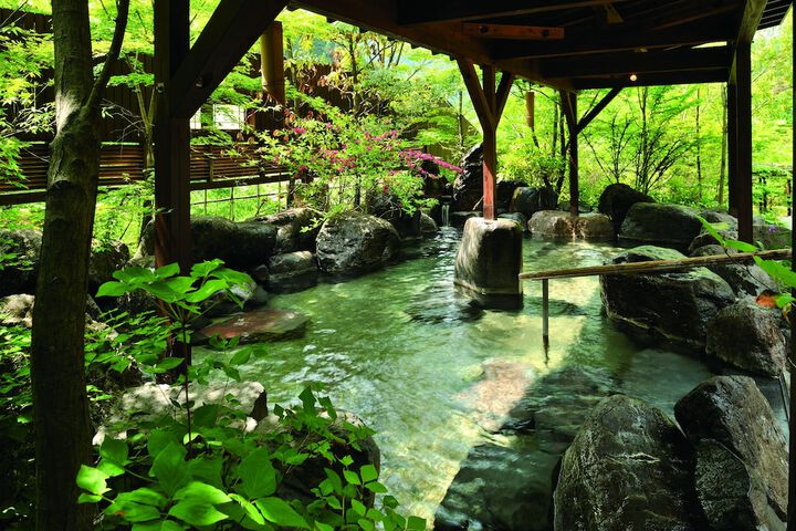 Wellness Treatments