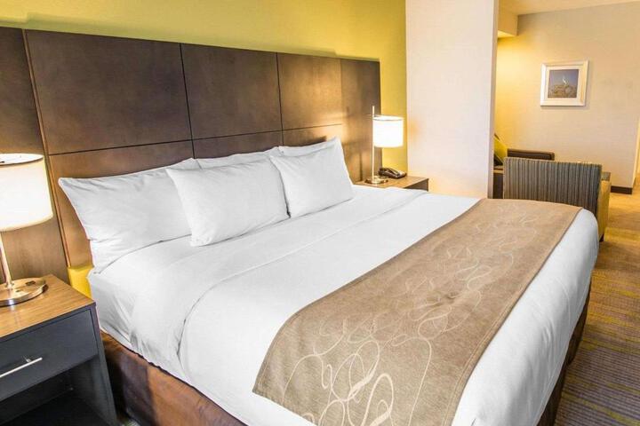1 King Bed Suite (2 of 23)