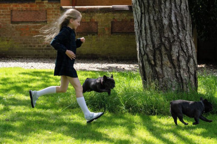 Children's activities