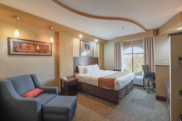 Standard | King Bed (2 of 15)