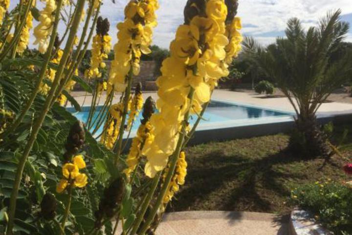 Pool 76 of 99