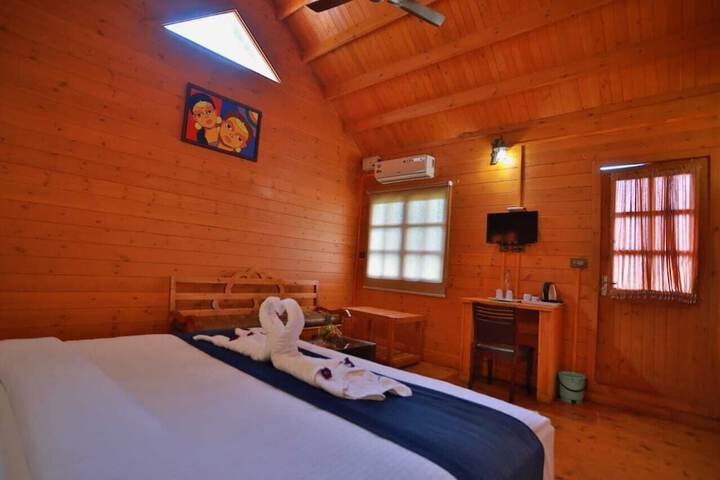 Room 14 of 48