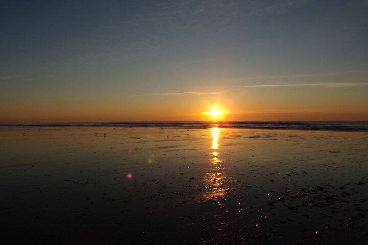 Beach 64 of 75